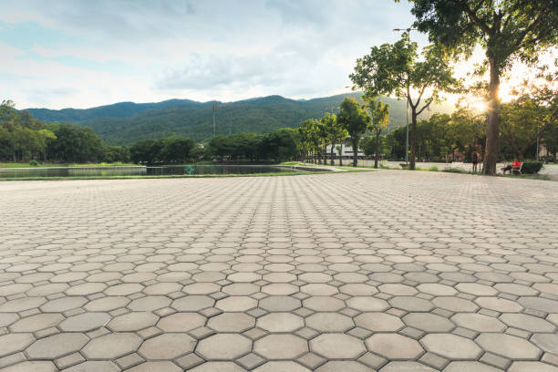 Best Driveway Pavers Near Me  in Sleepy Eye, MN