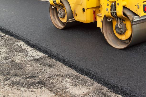 Best Custom Driveway Pavers  in Sleepy Eye, MN